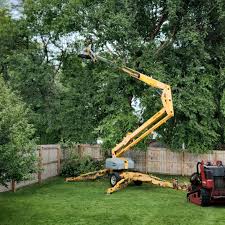 Best Hedge Trimming  in Twin Rivers, NJ