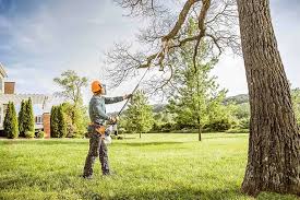 How Our Tree Care Process Works  in  Twin Rivers, NJ
