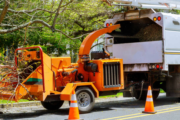 Best Fruit Tree Pruning  in Twin Rivers, NJ