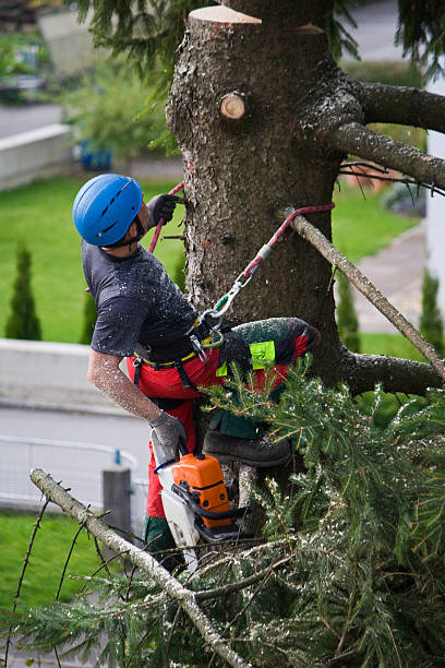Best Lawn Pest Prevention  in Twin Rivers, NJ
